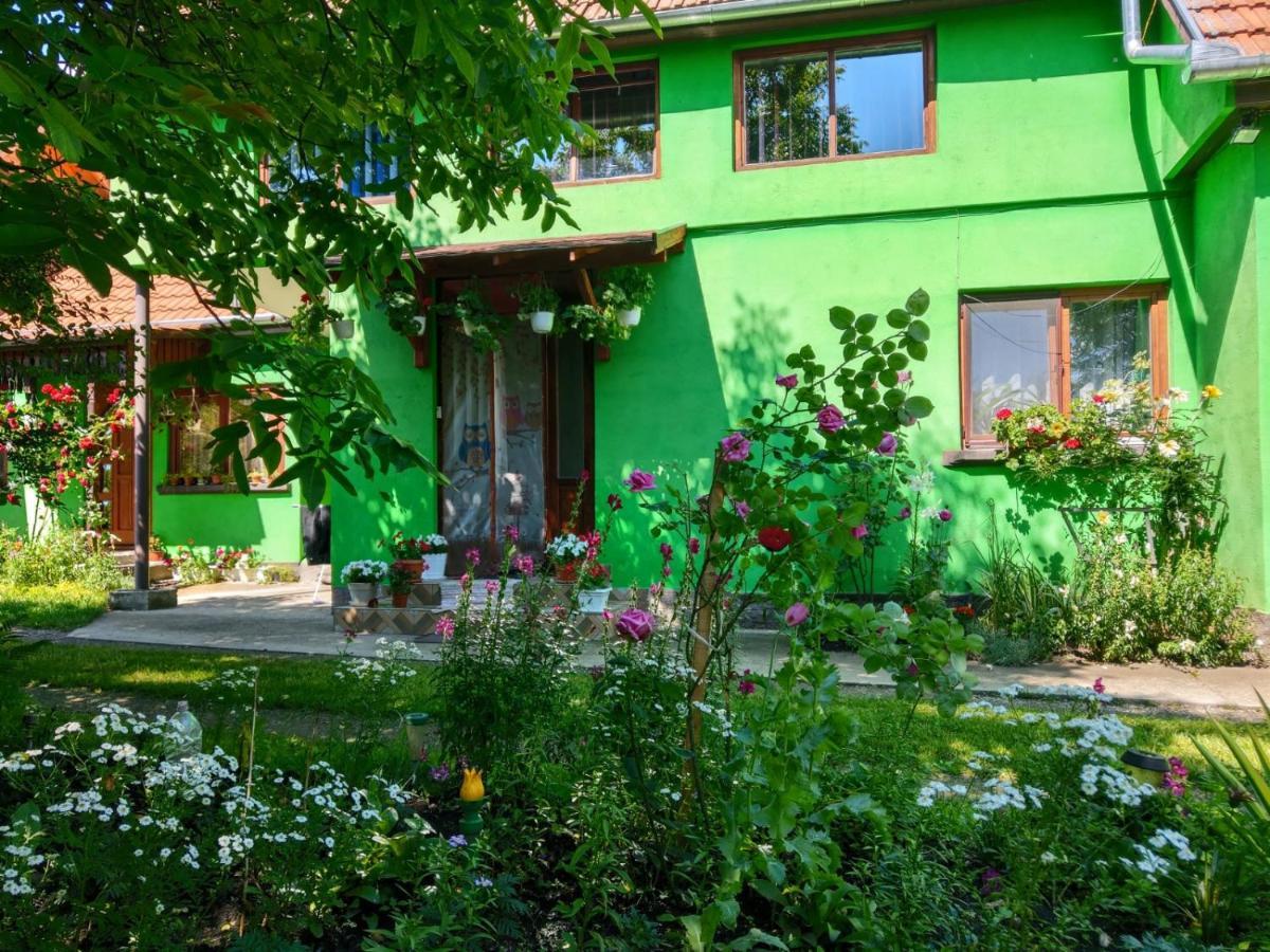 Csergo Ildiko Vendeghaz Hotel Lazarea Exterior photo
